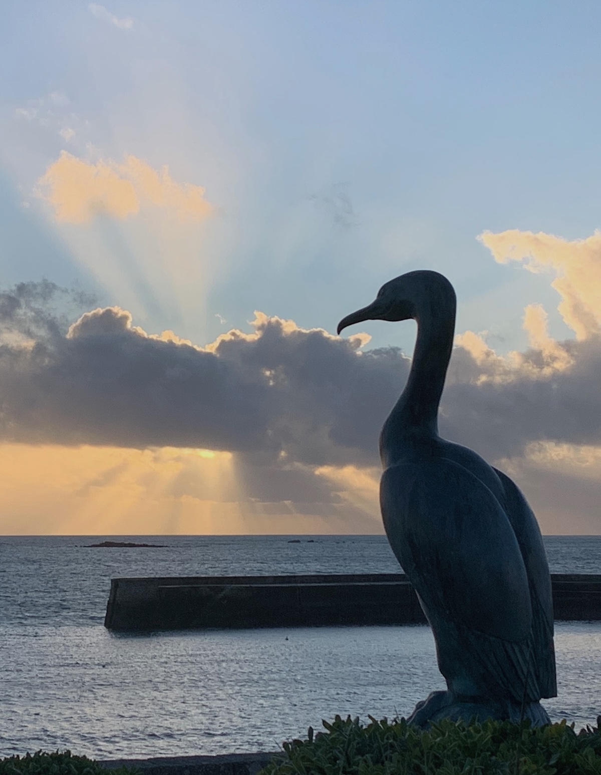 Statue de cormoran regardant la mer à Concarneau
